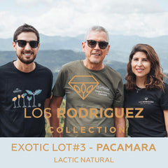 Bolivia - Los Rodriguez Collection No.2 - Exotic#3 Pacamara