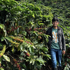 Peru - El Arroyo Geisha Anaerobic Washed