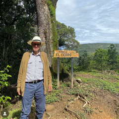 Costa Rica - Finca El Cedro Geisha Red Honey