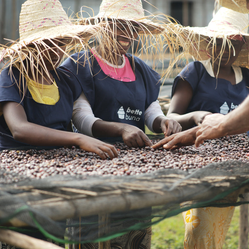 Ethiopia - Taferi Kela Anaerobic Natural 72hrs