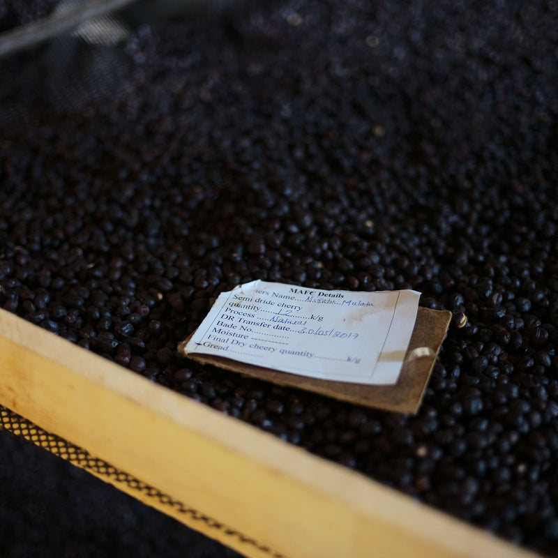 Ethiopia - Alo Coffee Auction 2025 Lot#EF1