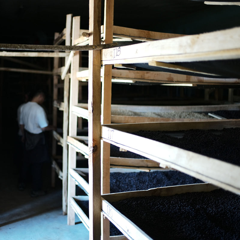 Ethiopia - Alo Coffee Auction 2025 Lot#EF1