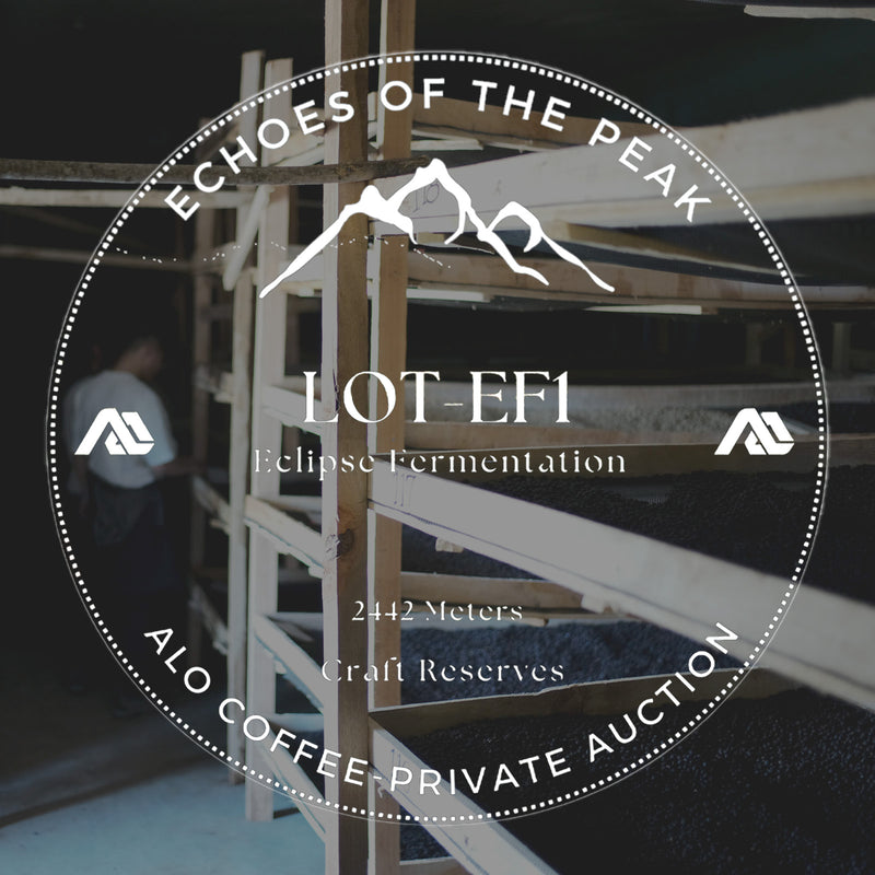 Ethiopia - Alo Coffee Auction 2025 Lot#EF1