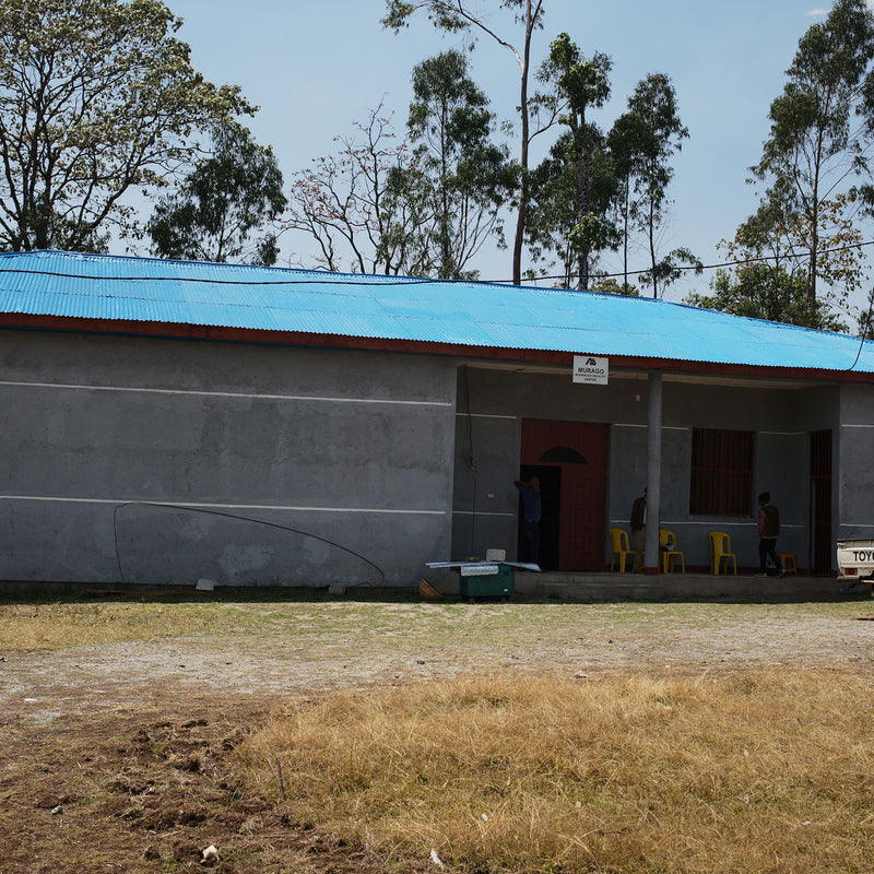 Ethiopia - Alo Coffee Auction 2025 Lot#EF1