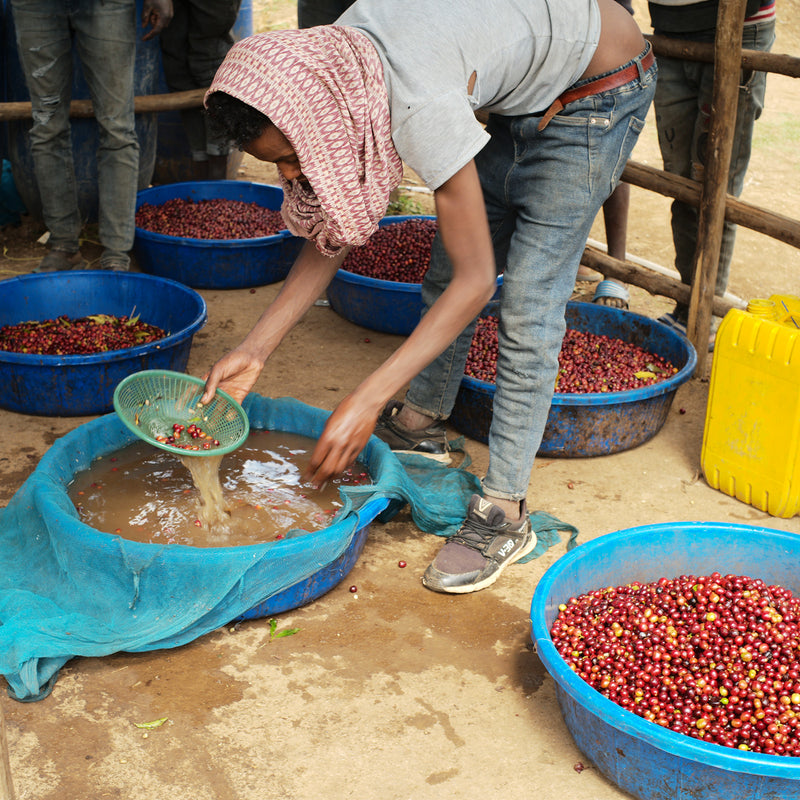 Ethiopia - Bombe Natural