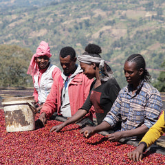 Ethiopia - Bombe Natural